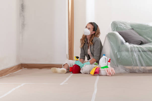 Reliable Commercial Mold Remediation contractor in Wendell, NC by WQB Mold Removal